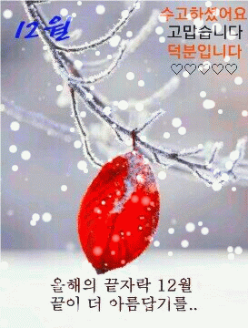 1606784608705.gif